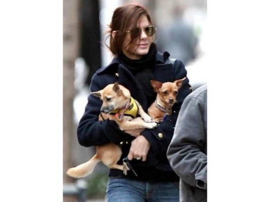Sandra Bullock adopto a Poppy, a quien le faltaba una de sus patitas, y a Rubi, una perrita a quien le faltan dos de sus patas y usa un carrito de perros para andar.