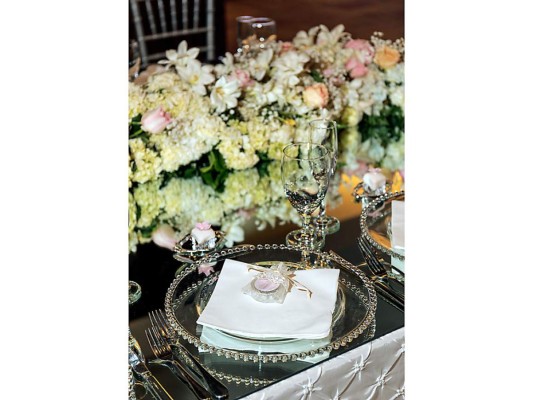 Elegante recepción para Nicole Marie Ganineh Maloff