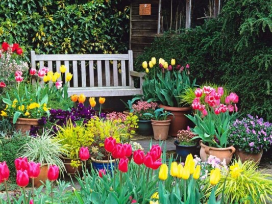 Accidentalmente Paleto barrera Cómo hacer un jardín en casa?
