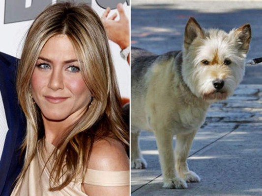 Jennifer Aniston y Norman