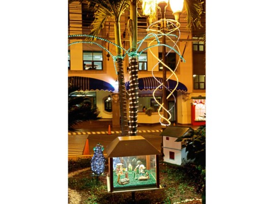 Nacimiento en urna de cristal en el Distrito Hotelero San Martín