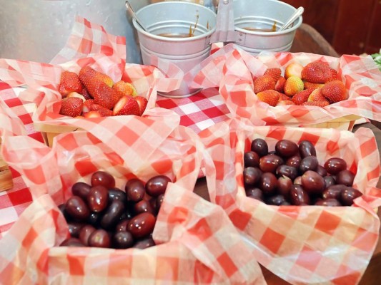 Tarde de picnic para Larissa Altamirano  