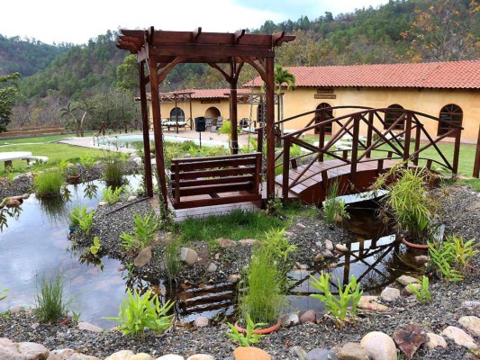 Coctel de apertura de EcoHotel Shangri-la