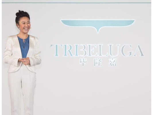 En 2014 fundó su propia empresa, TriBeluga Incubator, una consultora financiera en Seúl.
