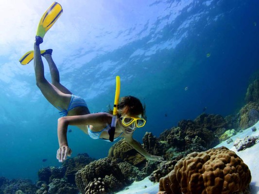 Utila. El mejor destino para bucear en el Caribe