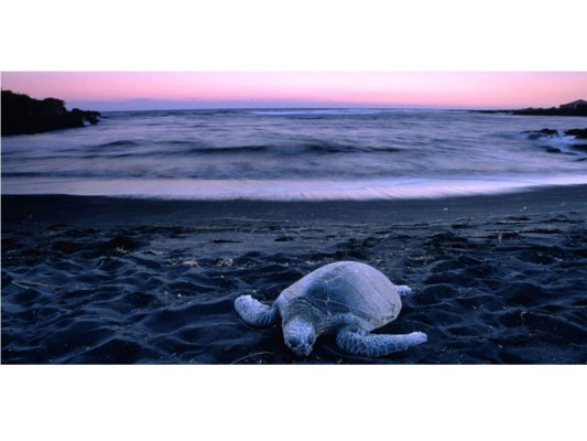 Las playas más coloridas del mundo