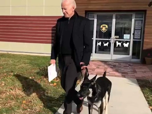 <br/>En noviembre de 2018, Joe Biden llevó a Major a su casa como un nuevo integrante gracias a la Delaware Hummane Association, que lo rescató y lo puso en adopción.<br/>