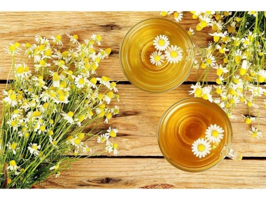 Prepara una infusión de manzanilla para bañar al perro con ella ya que elimina las pulgas.