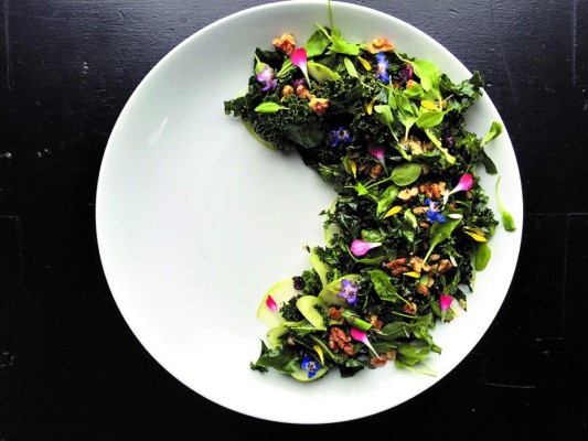 Ensalada de acelga y castañas en versión vegana