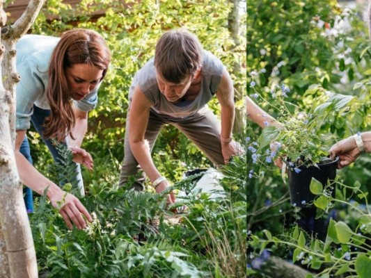 El jardín real de los duques de Cambridge, diseñado por Kate