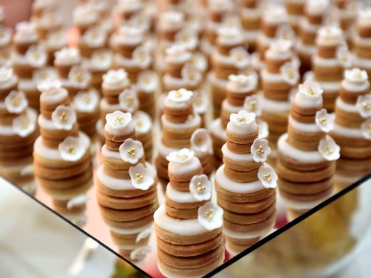 Inolvidable fiesta nupcial Anchecta-Mayes