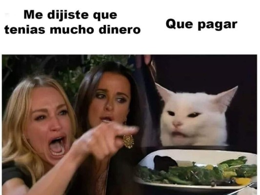 ¡Los mejores memes del famoso gato en la mesa!