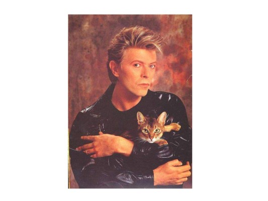 David Bowie