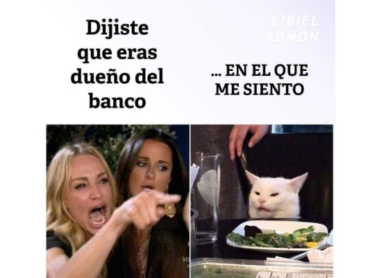 ¡Los mejores memes del famoso gato en la mesa!