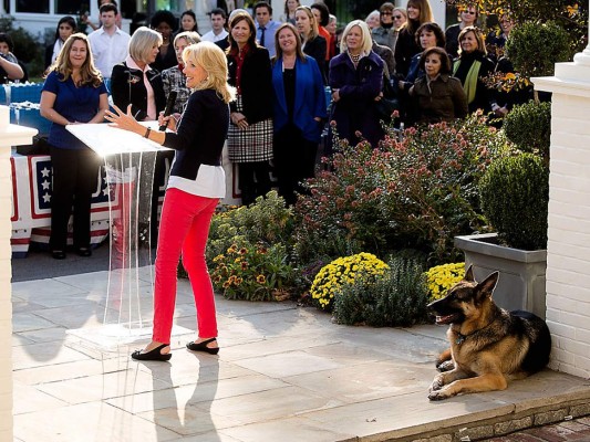 Champ y Major, las nuevas mascotas presidenciales