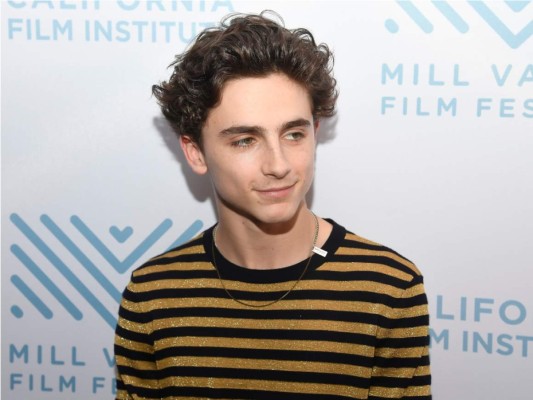 Timothee Chalamet: es uno de los actores más destacados del 2018 gracias a su brillante actuación en la película 'Call Me By Your Name' y 'Beautiful Boy'. A parte de ser encantador y talentoso, en este milenio es el artista más joven en ser nominado a un Oscar en la categoría de ''mejor actor''.
