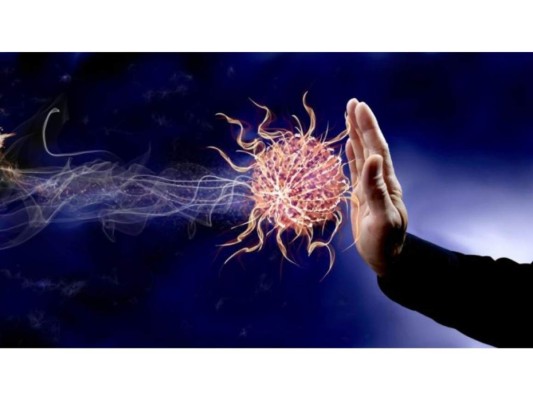 Protege del sistema inmunológico<br/>Gracias a sus propiedades antibacterianas y antifúngicas protege el sistema inmunológico, no sólo cuando es ingerida, sino también cuando se aplica tópicamente sobre la piel.<br/>