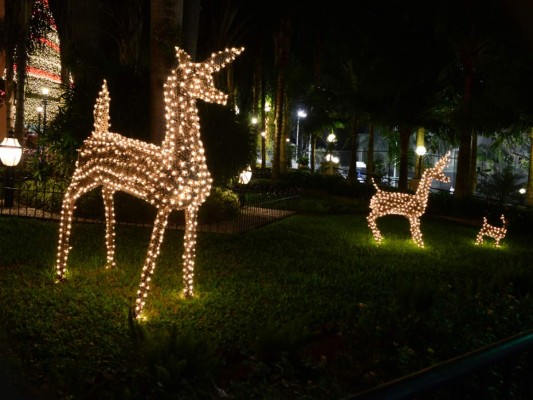 Navidad en San Pedro Sula