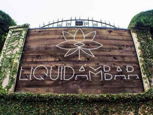 Liquidámbar, el mejor concepto vanguardista