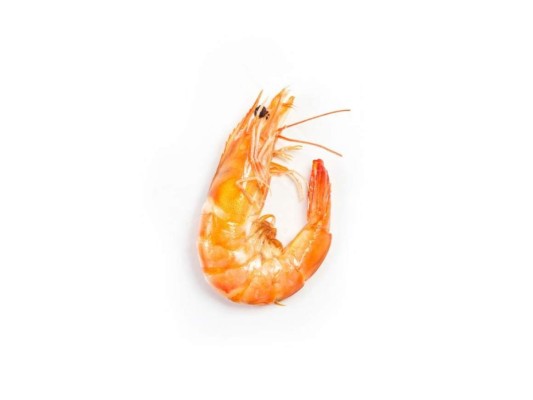 Camarones<br/>Buena fuente de vitamina D que regula la absorción de calcio y fósforo, que es esencial para tener uno dientes y huesos fuertes. Los camarones tienen cualidades anti-inflamatorias que pueden ayudar a reducir la inflamación de las encías. El camarón es una buena fuente de vitamina B12.<br/>