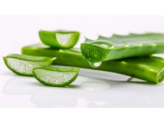 Aloe vera: El aloe vera es una magnífica planta que contiene diversas propiedades que brindan la hidratación y la cicatrización que podría llegar a ser muy útil al momento de cuidar el cuero cabelludo.