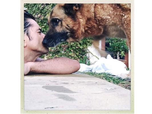 John Stamos recibió un beso de su perro