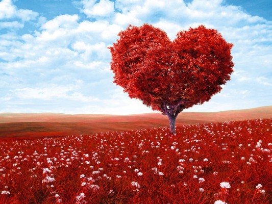 ¿Qué pasa en el cerebro cuando te enamoras?