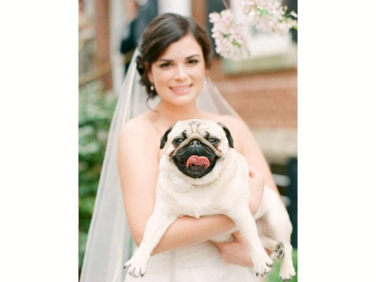 Perros, protagonistas de las bodas