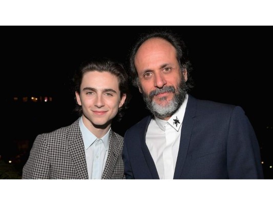 Timothée Chalamet y Luca Guadagnino realizarán cinta sobre canibalismo