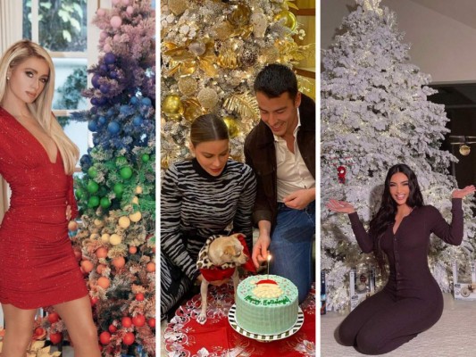 Así son las decoraciones de las casas de los famosos para este año en la época más bonita y esperada del año ¿Cuál te gustó más?