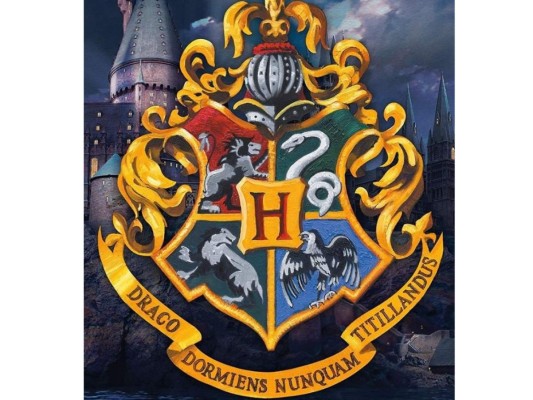 El lema de Hogwarts<br/>El lema de la escuela Hogwarts es ''Draco Dormiens Nunquam Titilandus'' y quiere decir ''Nunca agites a un dragón dormido''.<br/>