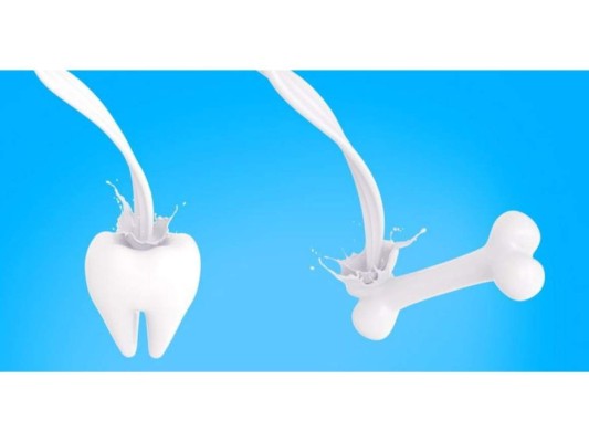 Forman y protegen los dientes y huesos.