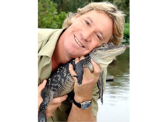 Steve Irwin estaba realizando un documental, cuando una raya lo atacó mientras él buceaba cerca de Port Douglas, este ataque fue grabado ya que Irwin quería documentar como nadaba, cuando el animal decidió defenderse al sentirse amenazado.
