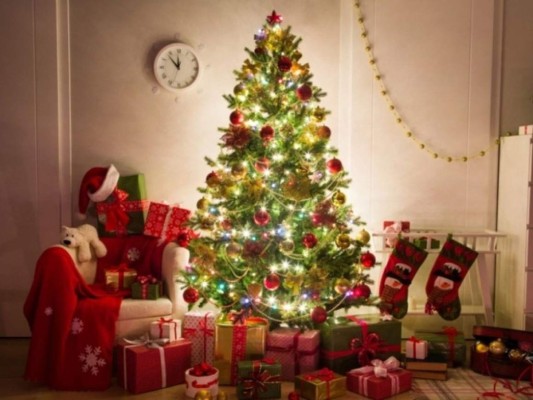 Árbol de Navidad: Fue en Alemania donde inició la tradición del árbol de Navidad durante la mitad del siglo VIII. Además, fue Martin Lutero el que tuvo la idea de adornarlo con luces.