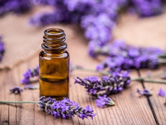 Aceite de lavanda: Mezcla tres gotas de aceite de lavanda y mézclalas con un poco de aloe vera, aplícala en la piel por las noches.