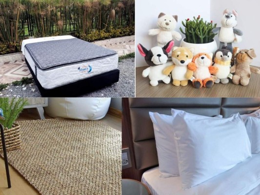 Bote todos los artículos que no puedan lavarse ni limpiarse: colchones, almohadas, alfombras, alfombras y juguetes de peluche.