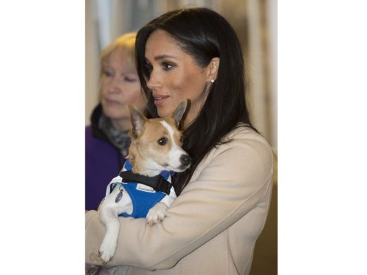 Meghan rompe tradiciones: adopta un perro