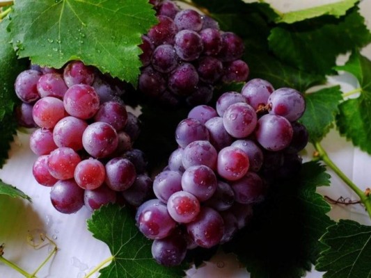 Uvas<br/>Contienen polifenoles, antioxidantes y también protegen el corazón. Pero a diferencia de otras frutas, tiene más calorías. Por ejemplo, la uva blanca tiene alrededor de 72 calorías, mientras que la uva negra aporta 110 por cada 100 gramos.<br/>