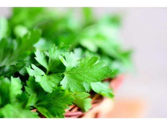 Contiene vitamina C: El té de perejil contiene vitamina C que ayuda a fortalecer el sistema inmune, además fomenta la generación de glóbulos blancos.