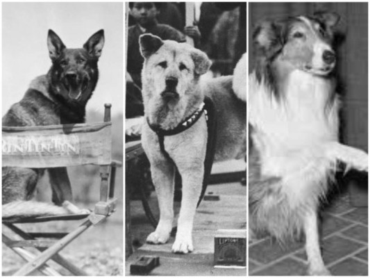 Los perros más famosos de la historia