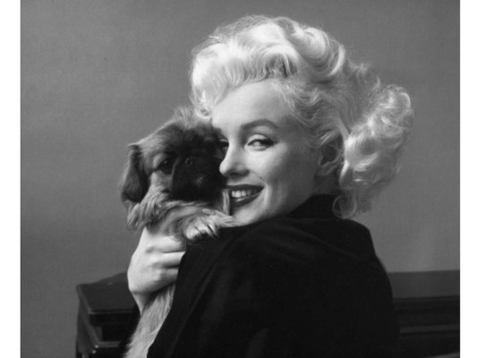 Marilyn Monroe y Tippy