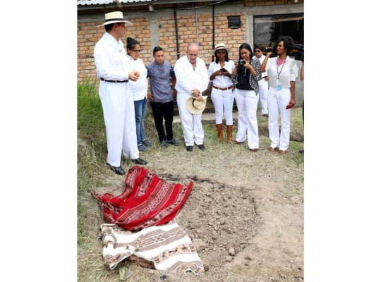 Exhibición de caballos peruanos de paso en Tegucigalpa