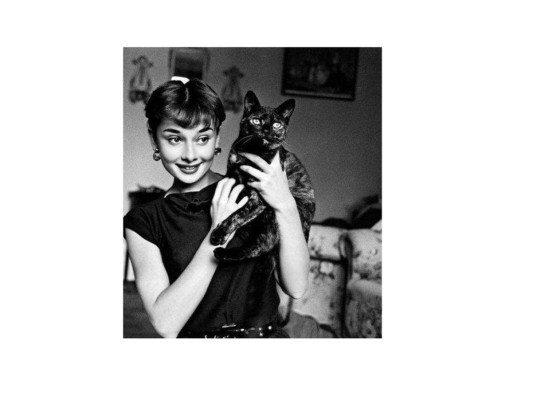 Audrey Hepburn