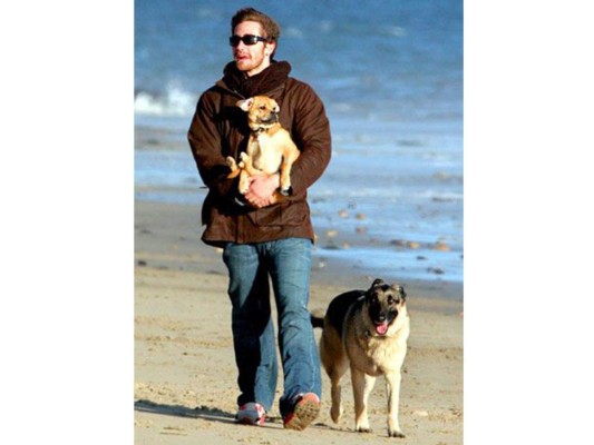 Jake Gyllenhaal con Boo Radley y Atticus