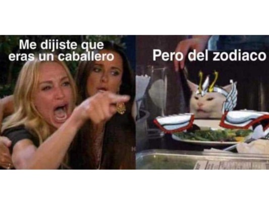 ¡Los mejores memes del famoso gato en la mesa!