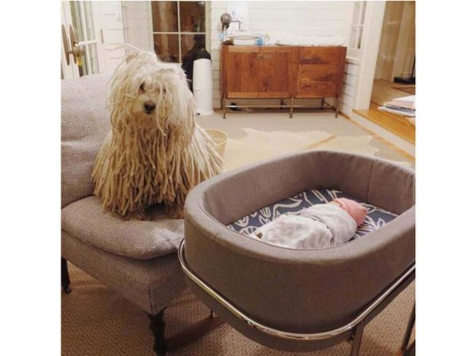 Enero 10, 2015. Mark compartió esta fotografía de su perro Beast resguardando a Máxima.