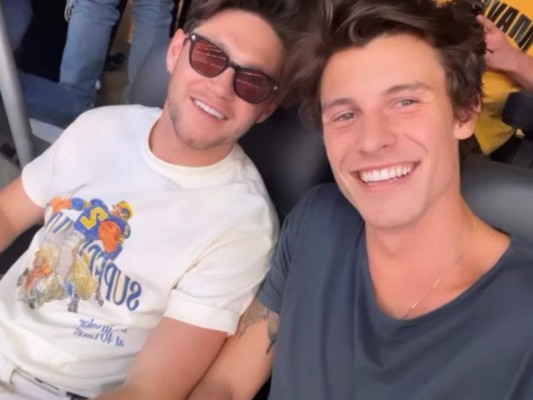 Niall Horan y Shawn Mendes.
