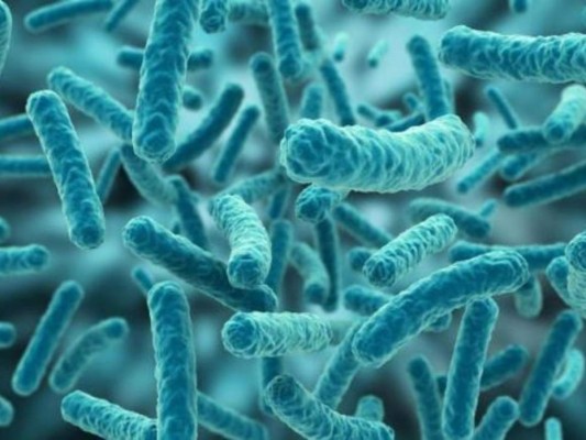 Elimina bacterias: Gracias a su contenido de ácido acético puede matar las bacterias o evitar que se multipliquen.