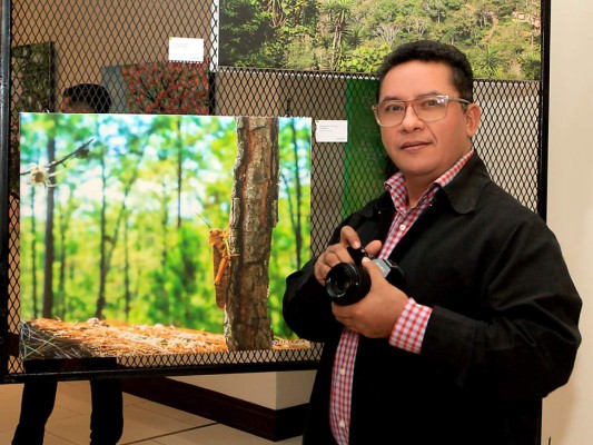 Un éxito el Proyecto Expositivo El Merendón