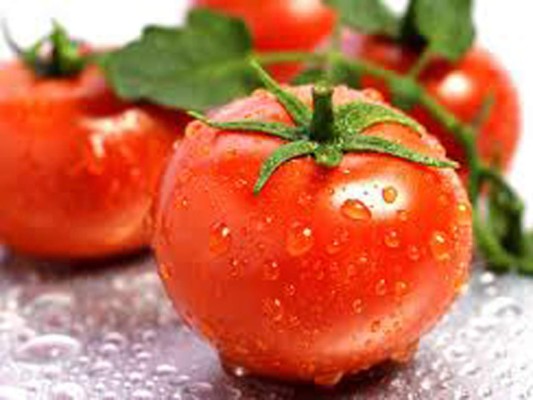 Tomates, El tomate, además de ser crujiente y el aliado para cualquier comida o snack, es el mejor amigo de tu cerebro. sus nutrientes reducen los riesgos de accidentes vasculares y lo mantienen alerta, tiene efecto diurético, excelente regulador del tránsito intestinal y propiedades de protector solar. Si consumes tomates etarás menos expuestos a los rayos ultravioletas